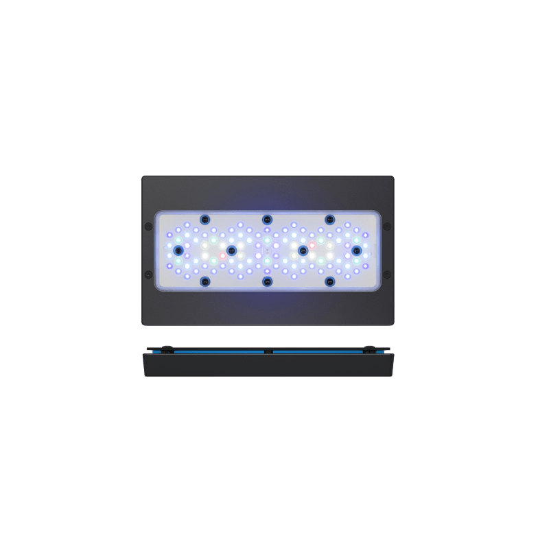 Radion XR30G6 BLUE LED Light