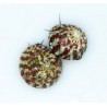 Trochus histrio Trochus histrio