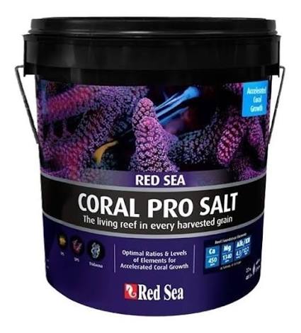 Cubo de sal marina