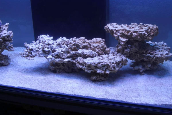 🪨 COLOCACIÓN DE ROCA EN ACUARIOS MARINOS: Aquascaping por Litros, Tipo de Coral, Flujo y Corrientes – Guía Científica Completa (2026)